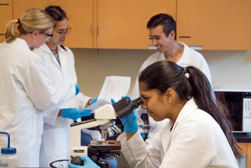 Group of Scientists